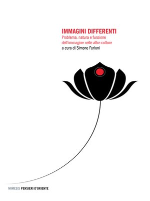 cover image of Immagini differenti